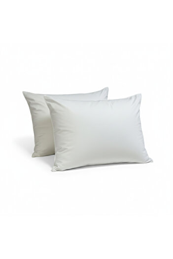 Boema Home Deco Set of 2 goose down and feather pillows, medium support, hotel comfort, 1200 gr, 50x70 cm