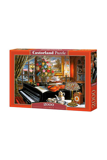 Castorland Puzzle 2000 pieces Musician's House 200641