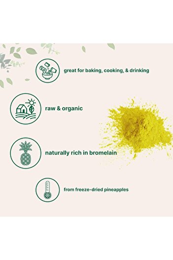 Micro ingredients Organic Pineapple Powder, 8 Ounce, Freeze Dried