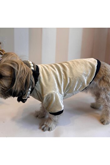 For a Fur Baby Yellow Velvet Dog Sweater