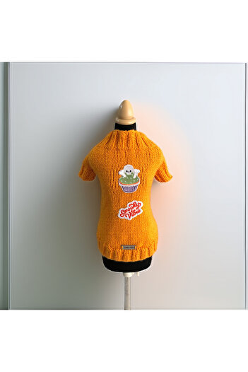 Lady Fify Orange Halloween Sweater for Cat and Dog