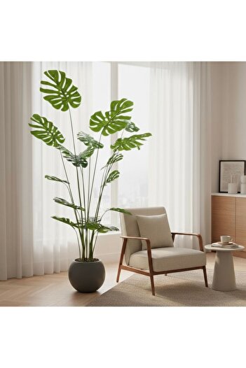 Casco 210cm Artificial Monstera Plant with Luxury Pot