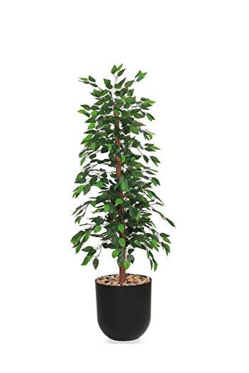 co arma 155cm Artificial Ficus Tree that mimics a real tree in shape and texture