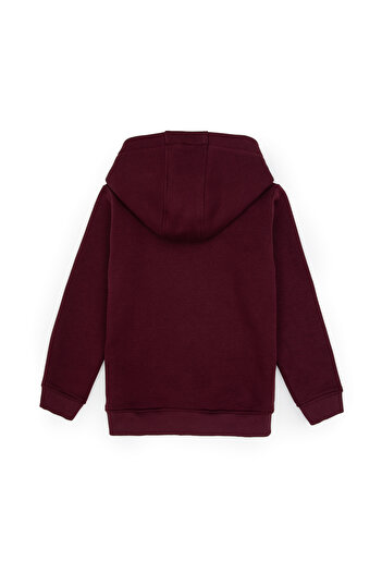 U.S. Polo Assn. Boy's Claret Red Basic Hooded Sweatshirt 50313808-Vr177