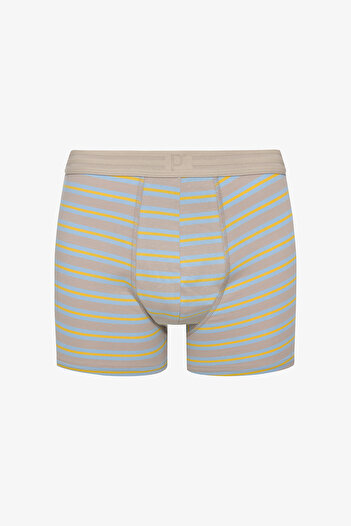 Penti Erkek Pamuklu Blue Design Çok Renkli 3lü Boxer