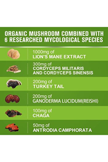 ALHENA Capsules with mushroom extract from Lion's Mane, Turkey Tail Chaga Complex, Improve memory and immun