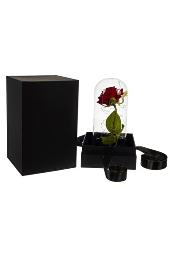 zola Decorative red rose, in glass dome and LEDs, elegant gift box, 22 x 11.5 cm