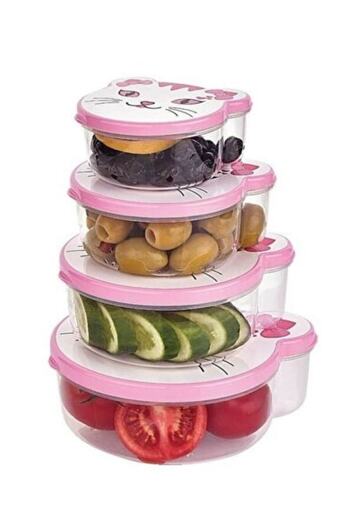 Ayver 4-Piece Figured Storage Container Lunch Box