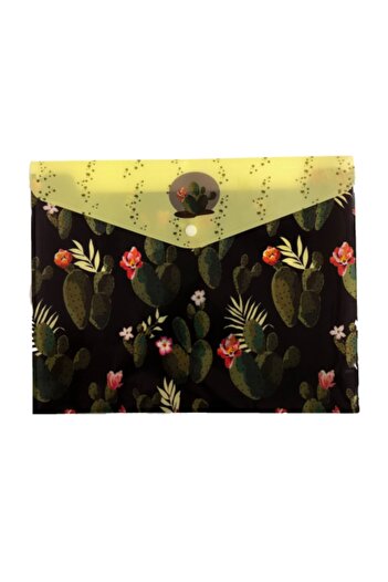 FLY COLOR Bellows Snap Patterned File