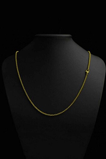 The Collection 1,5 Mm Forse Unisex Altın Kaplama Zincir Kolye En Ince 55 Cm