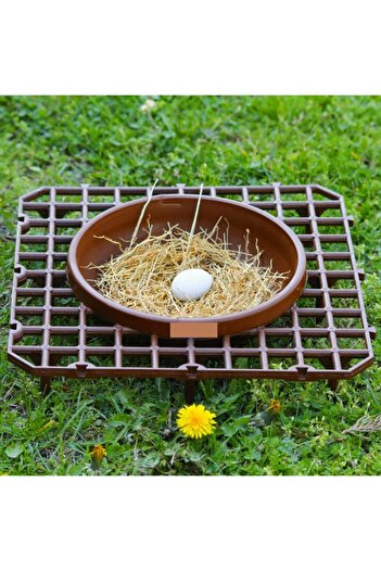 A.C.E.K PLASTİK Pigeon Nest with Grill [Color May Vary.]