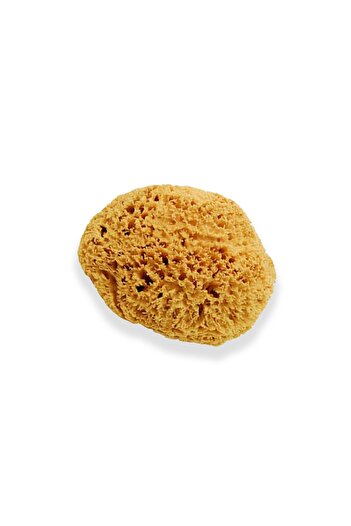 BAZAAR 4 Unisex Baby Yellow Bath Natural Sea Sponge