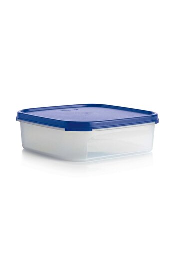 Tupperware حاوية تخزين معيارية 1.1 لتر