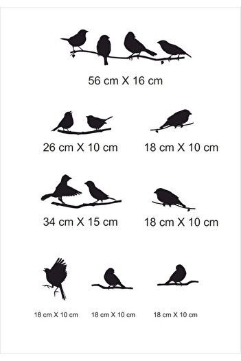 TRC TRAFİK Birds on Branch Decorative Wall Sticker White (8 Figures)