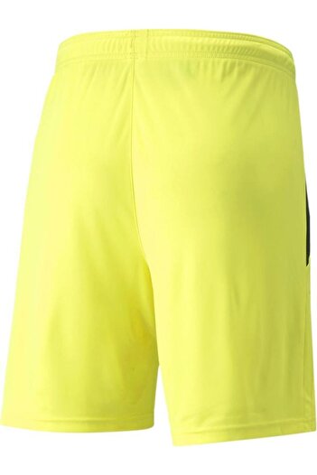 Puma Teamliga Shorts