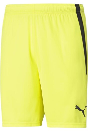 Puma Teamliga Shorts