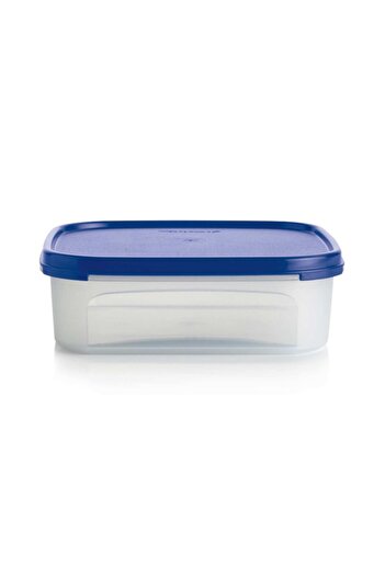 Tupperware حاوية تخزين معيارية 1.1 لتر