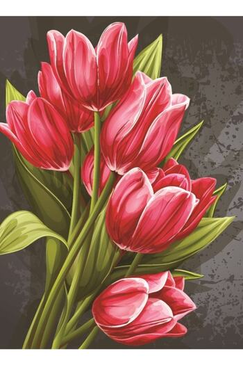 Nova Puzzle Nova 1000 Piece Red Tulips Puzzle