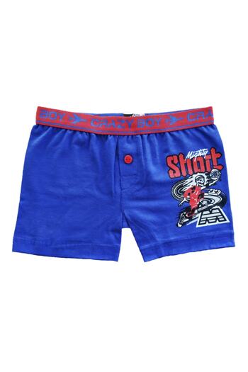 Tutku Erkek Çocuk Mavi Renkli Baskılı Pamuklu Elastan Düğmeli 6lı Paket  Boxer Kilot