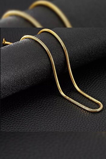 The Collection Paslanmaz Zincir Çelik Yılan Model Kolye Gold Snake Kolye