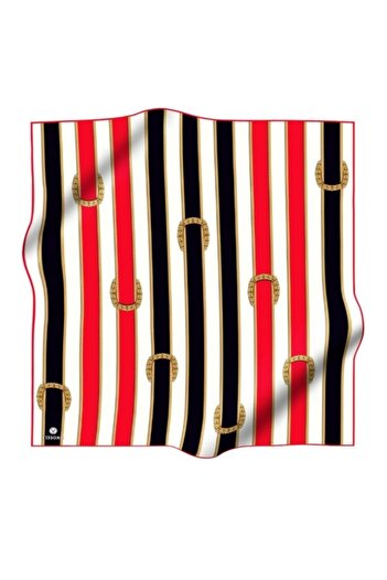 Vissona Silk Scarf 10502