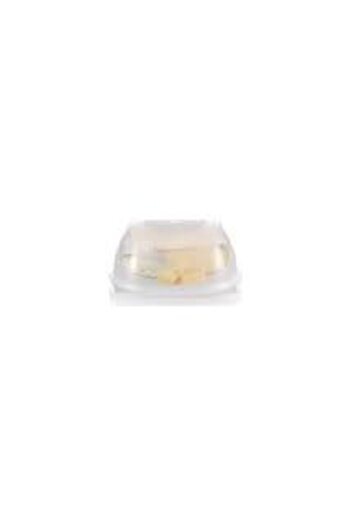 Tupperware Cheese World Medium Size