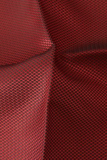 ALTINYILDIZ CLASSICS Men's Burgundy Tie-Tissue Set