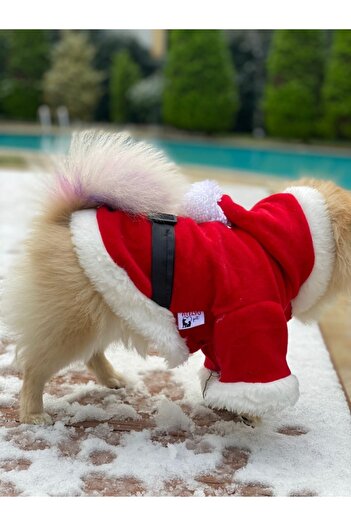 atelyu Kedi Köpek Kıyafetleri Noel Kostümü Polar Yılbaşı Kıyafeti