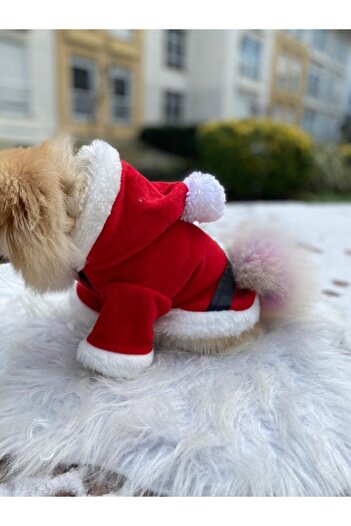 atelyu Kedi Köpek Kıyafetleri Noel Kostümü Polar Yılbaşı Kıyafeti