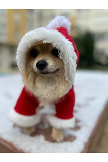 atelyu Kedi Köpek Kıyafetleri Noel Kostümü Polar Yılbaşı Kıyafeti