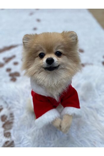 atelyu Kedi Köpek Kıyafetleri Noel Kostümü Polar Yılbaşı Kıyafeti
