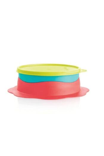 Tupperware My First Plate Food Bowl for Microwave Hsgl