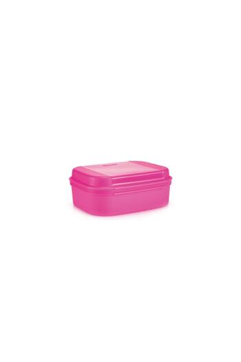 Tupperware Purple F20 Storage Container