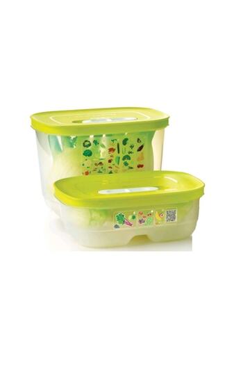 Tupperware Greenhouse Set of 2 Vegetable Fruit Storage Container 1.8 Lt-800 ml