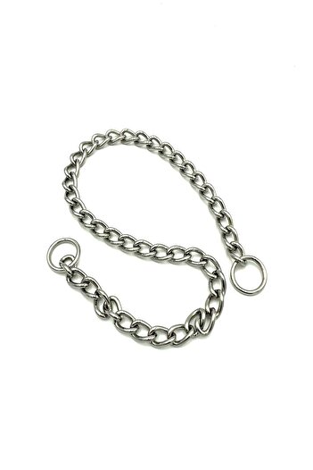 Tasma Market Steel Chain Dog Training Collar