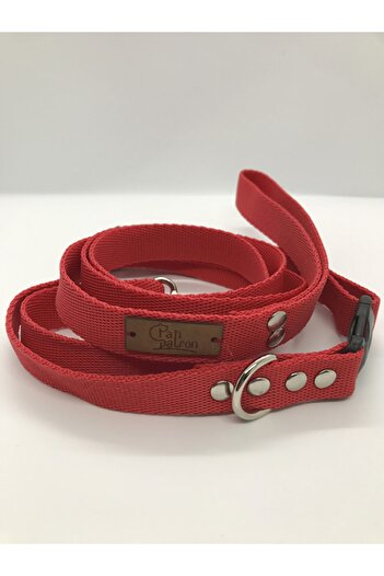Patipatron Large Breed Dog Walking Collar Red