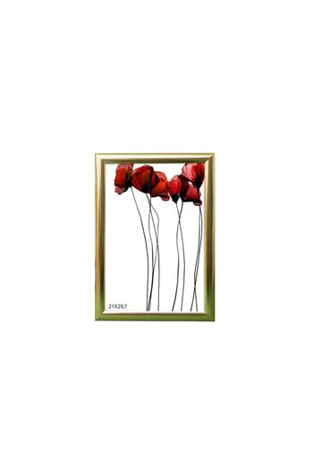 ÖZCANLAR ÇERÇEVE Gift Frame Decoration Picture Frame A4 Diploma Document A4 Silver