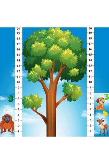 DIGERUI Nepman Math Forest - Fun Math Game Hd67