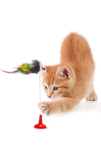 Buffer Cat Cleaning Gloves - Hair Collection