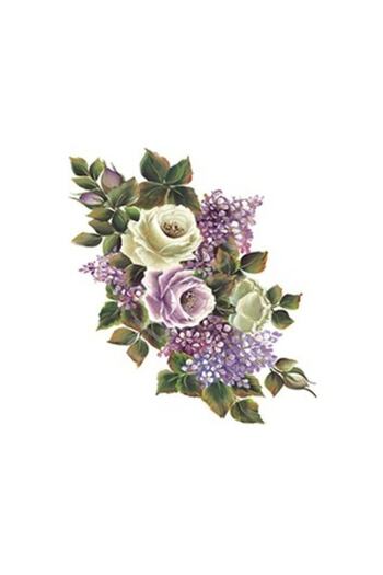 Cadence Xl04 35x50 Rose Land