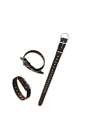 Lndr Brown Rivet Ornate Medium Breed Dog Collar 3.5 cm Width 60 cm Tall
