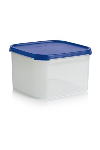 Tupperware Tupperrware Oval Modular Storage Container 2.6 Lt Ovl01285
