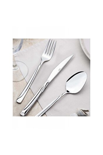 Nehir Fiesta Plain 12 Pieces Dinner Spoon Set