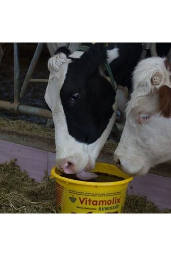 Royal Vitamolix Ruminant Yalama Kovası 3 Kg (8-ADET)