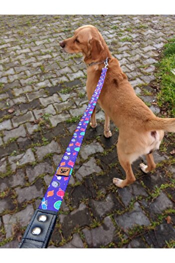 UTDpet X Æ A-12 Dog Extension Leash Dispatch Strap Grande