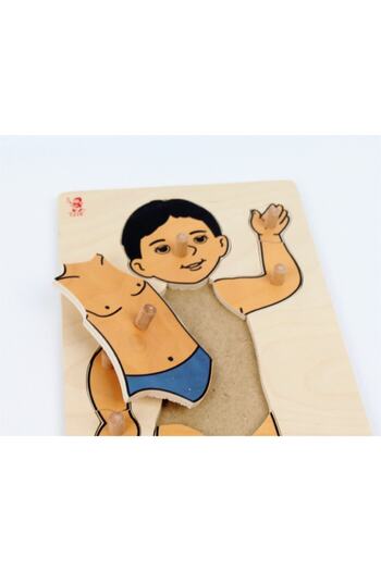 IŞIK YAYIN OYUNCAK Vücudumuzu Tanıyalım Puzzle Ahşap Akıl Ve Zeka Oyunları (kız Ve Erkek Vücut)