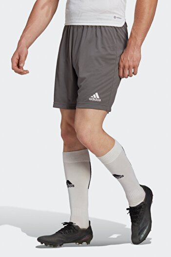 adidas Ent22 Sho Gray Men's Shorts