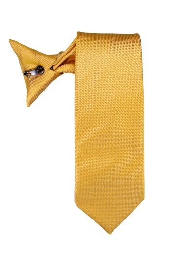 PROKRAVAT Gold Eyelet Clip Tie