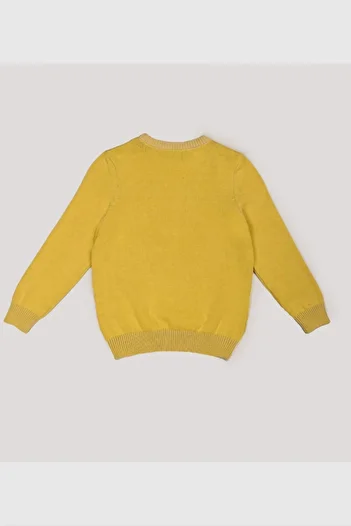 ALEXANDERGARDI Children's Crew Neck Sweater (c21-18345)