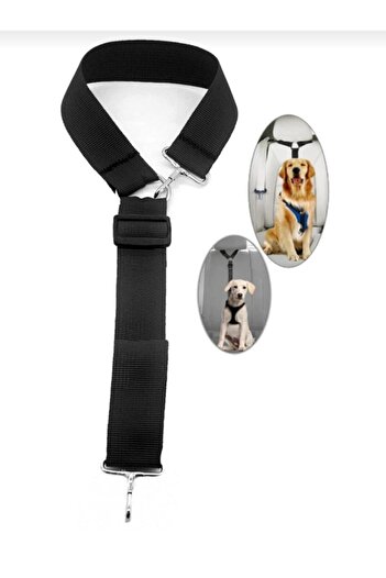 SAR Cat & Dog Vehicle Safety Belt Auto Travel Leash